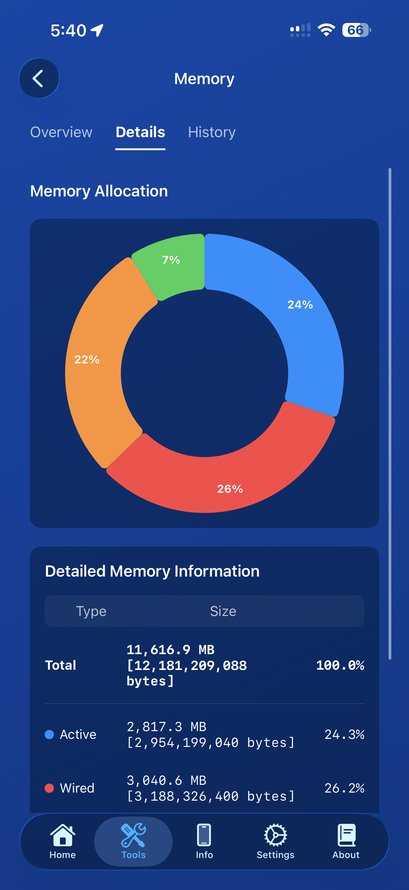 Memory tool Details tab showing a memory allocation chart and a detailed table