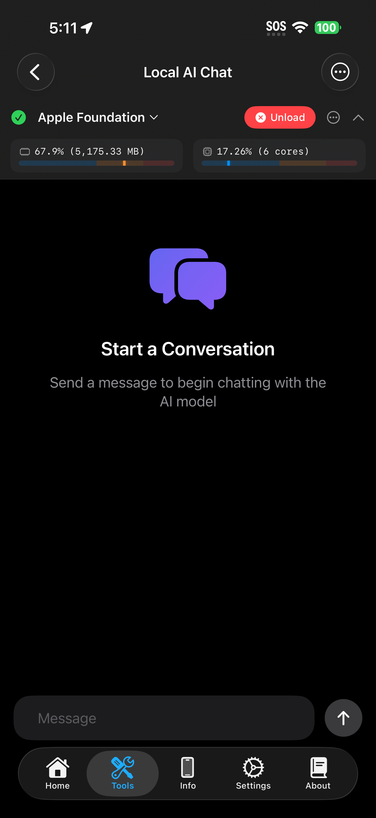 Tools / local ai: local ai model model loaded