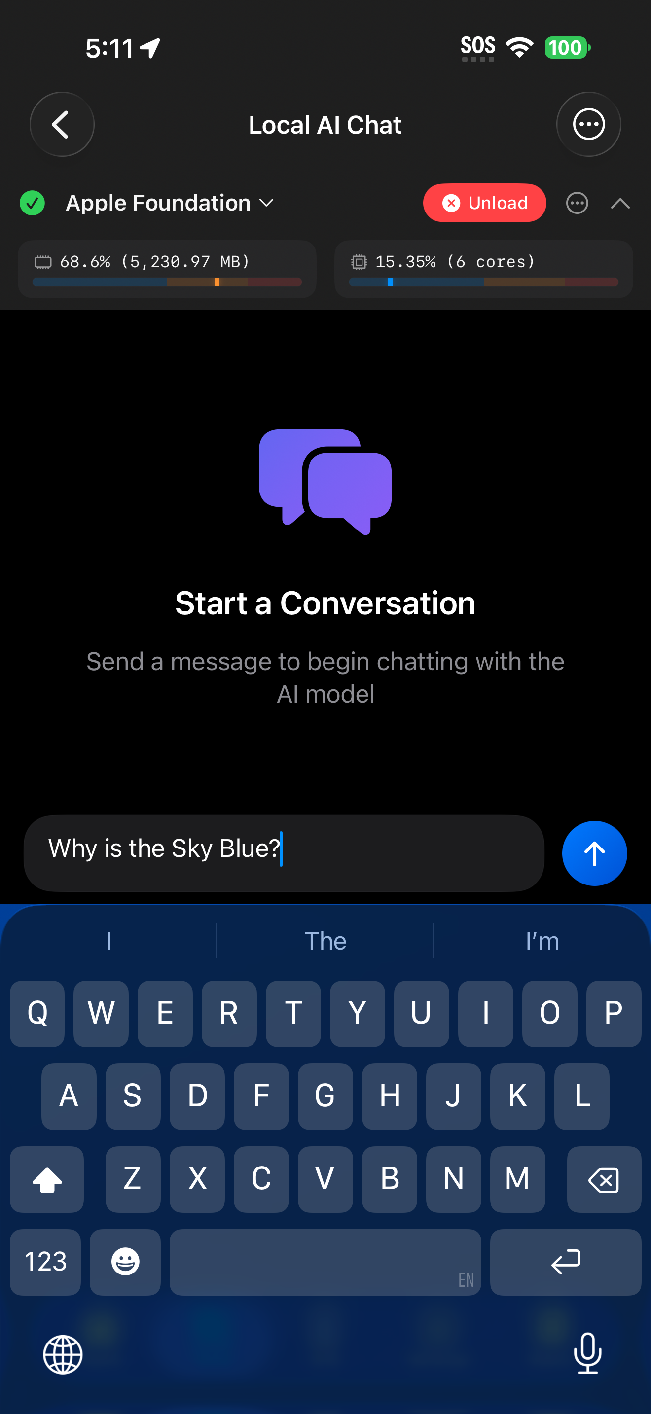 Prompt entered in Local AI chat