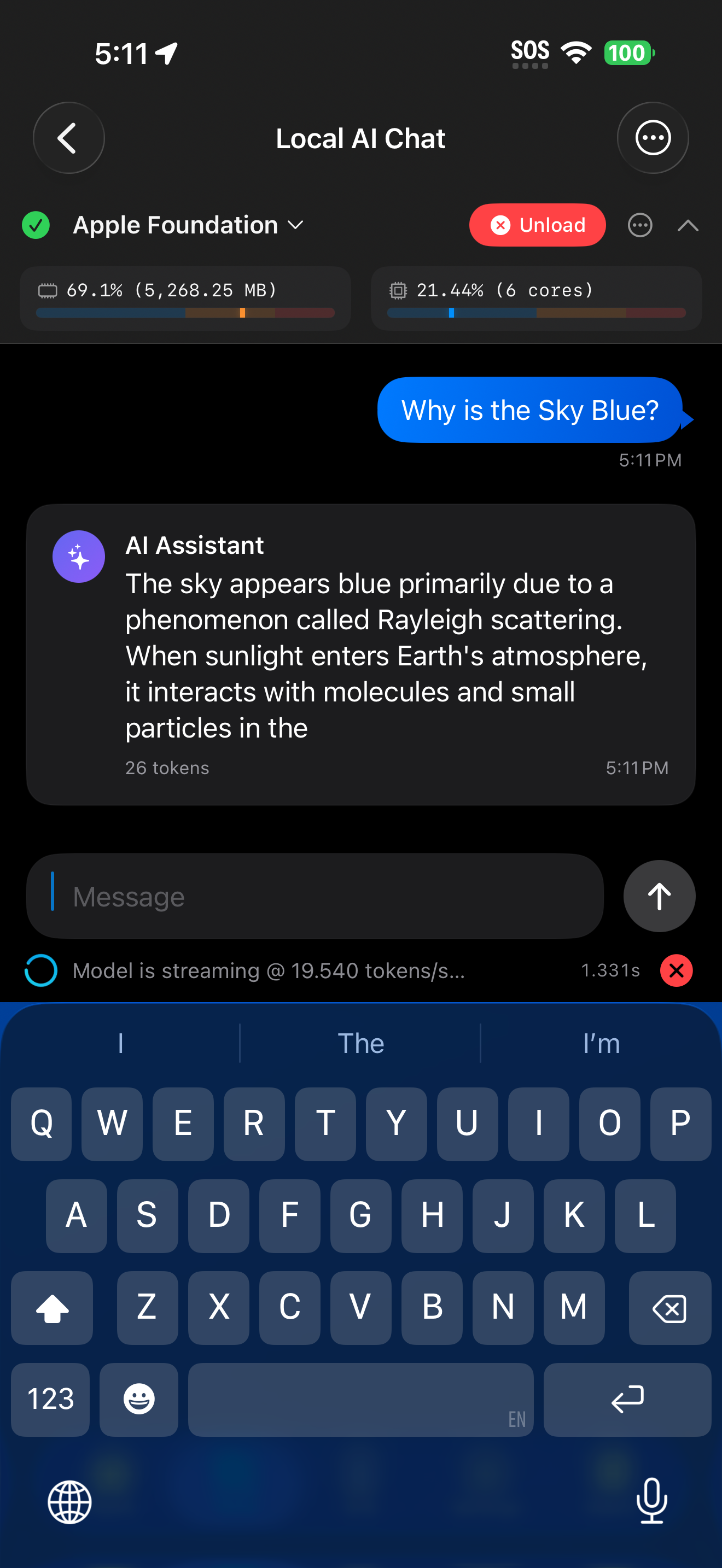 Prompt sent in Local AI chat