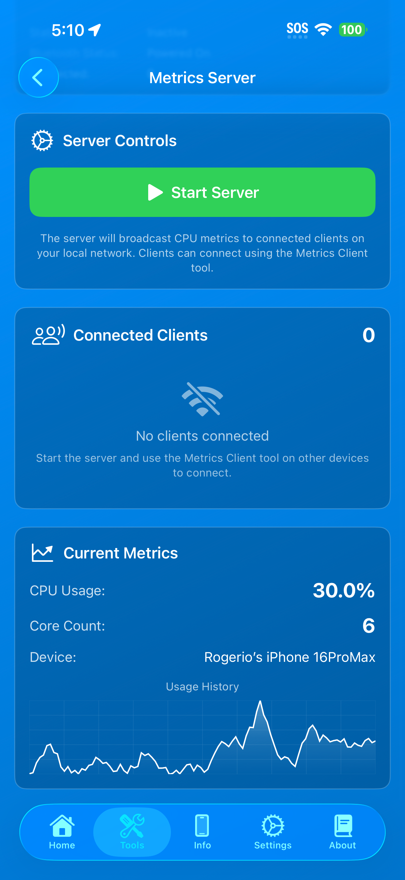 Metrics Server scrolled view showing the current metrics card