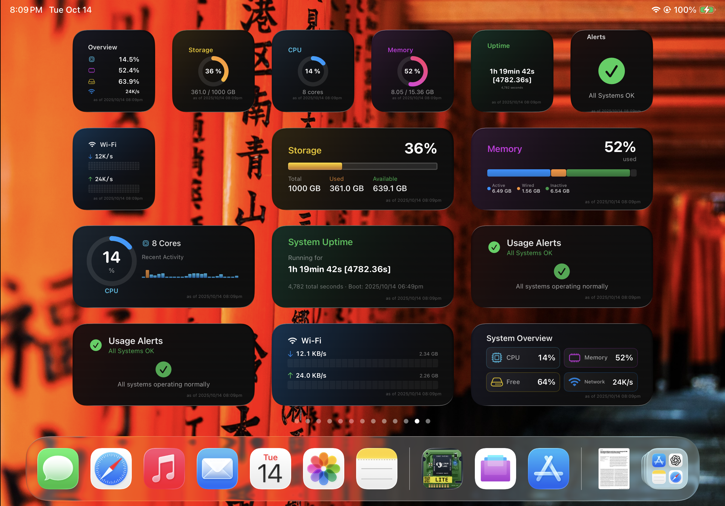 iPadOS Home Screen widget layout with many Lirum widgets in different sizes