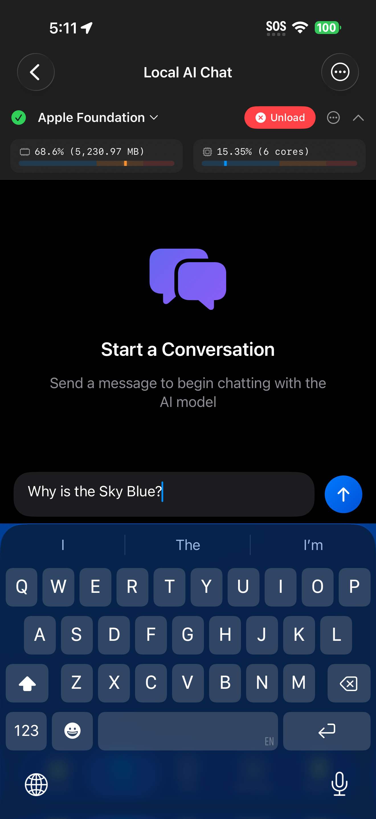 Tools / local ai: local ai model prompt entered