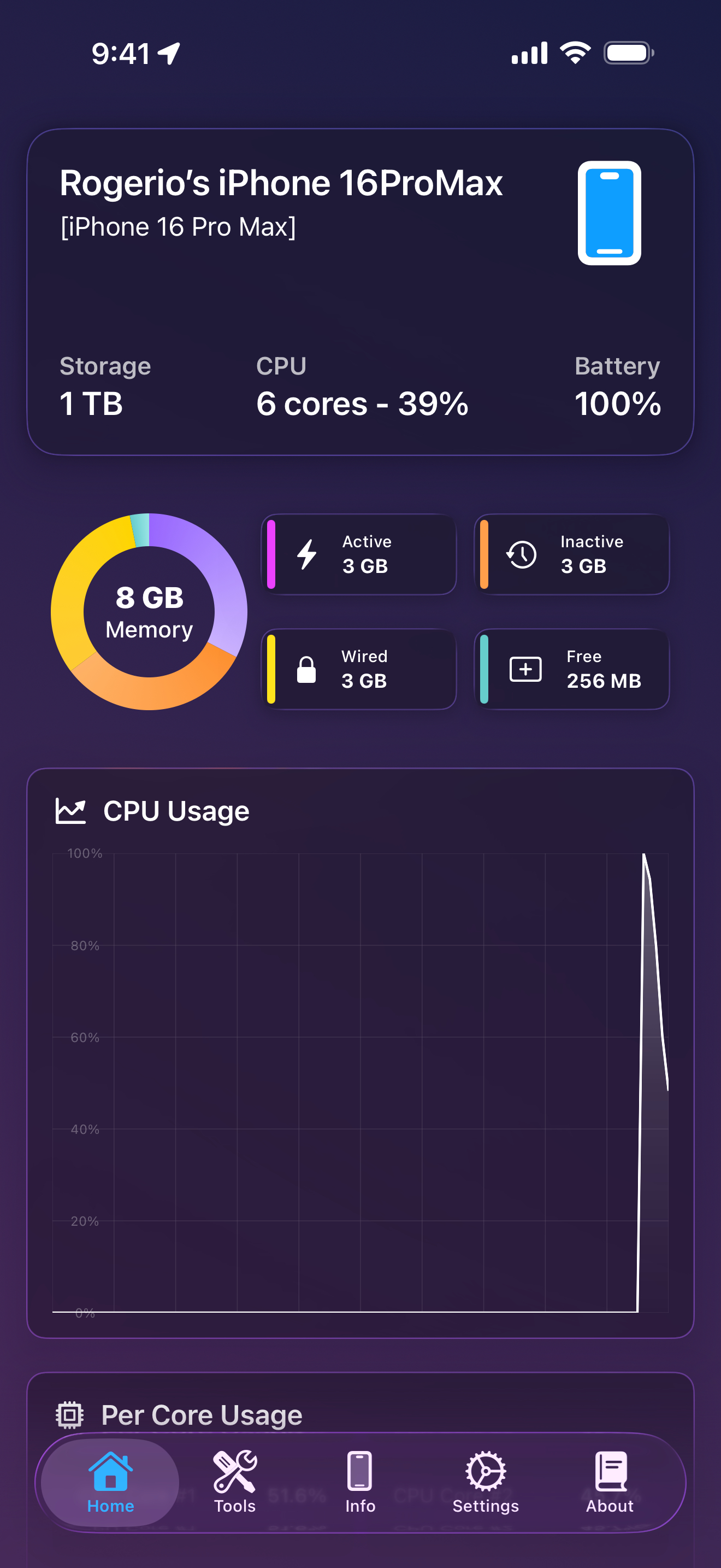 Вкладка Головна з індикатором пам’яті та графіком CPU