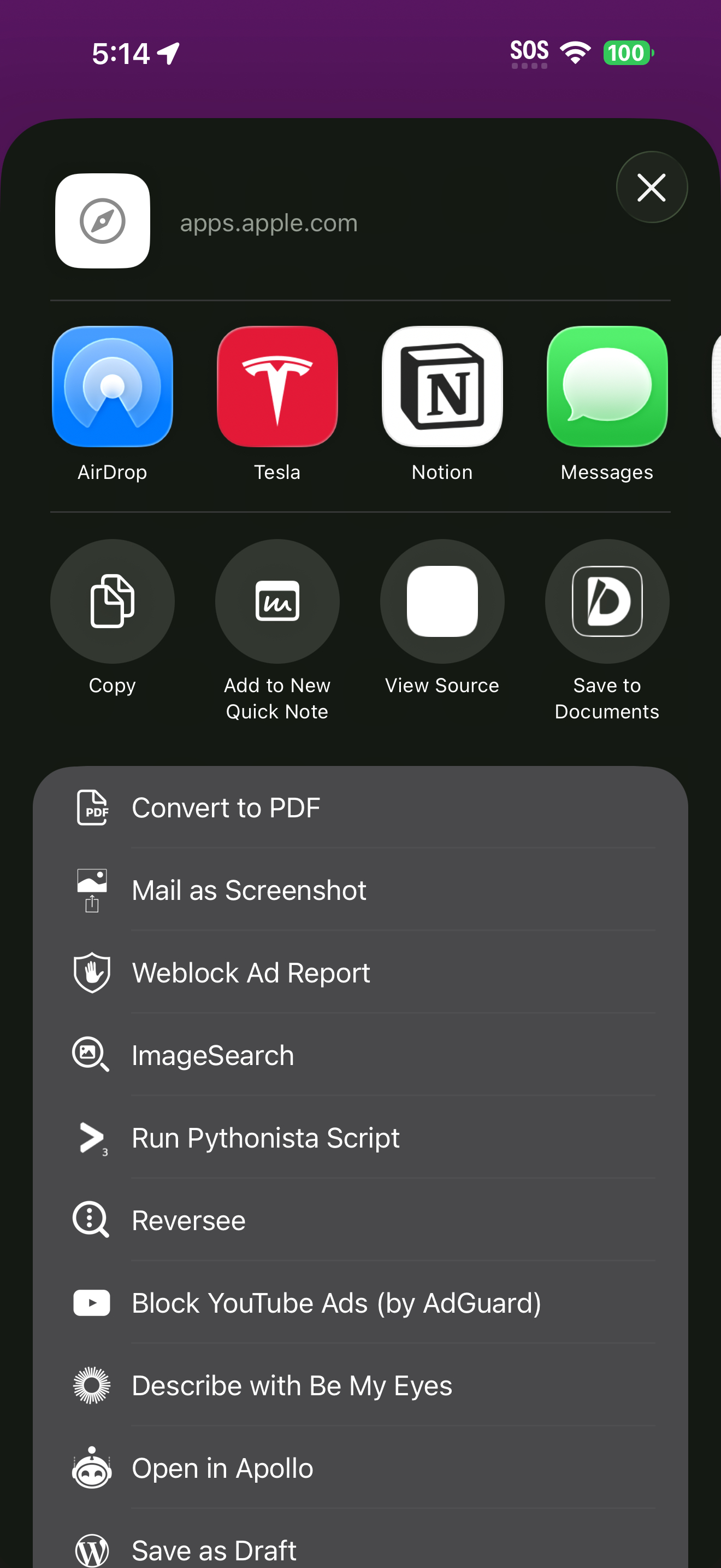 从关于页面打开的 iOS 分享菜单